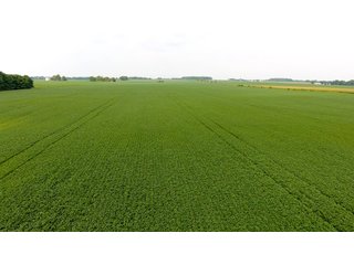 Property photo 19 - IMPORTANT OHIO LAND AUCTION - 325.5+/- ACRES OFFERED IN 8 TRACTS IN PICKAWAY COUNTY, OHIO